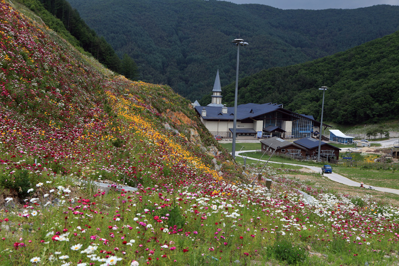 리산애 감성여행 이미지