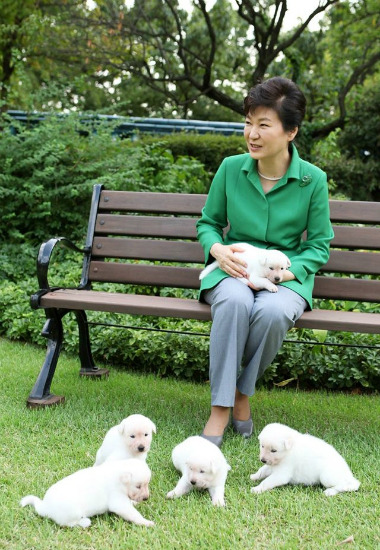 박근혜가 키우던 강아지들 | 인스티즈
