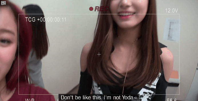 [트와이스] 이러지 마세요!!! | 인스티즈