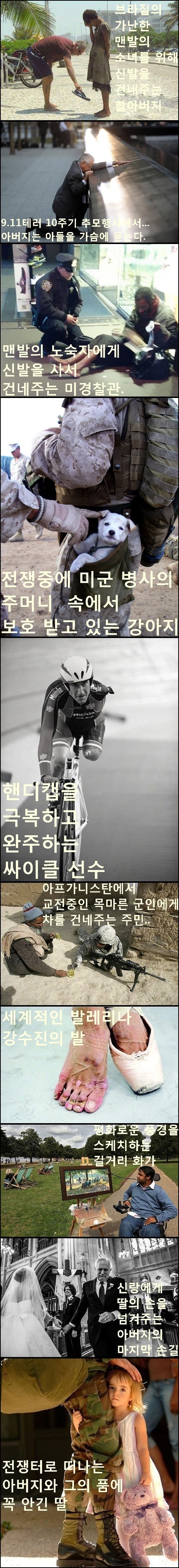 말로는 형언하기 힘든 사진 속 순간의 뭉클한 감정 45선.Jpeg | 인스티즈