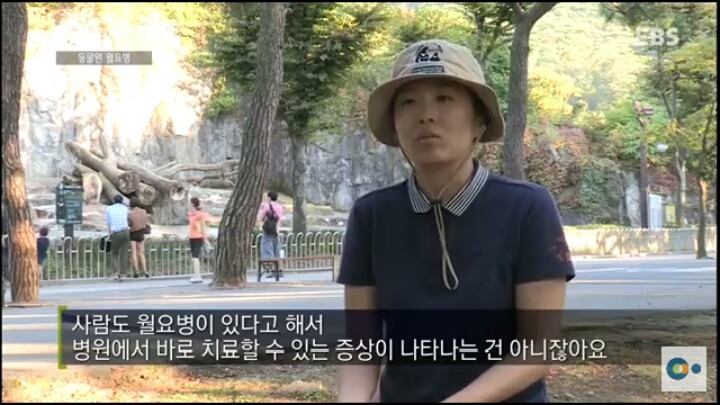 동물원 동물들이 월요병 생기는 이유 | 인스티즈