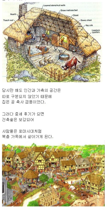 중세 유럽 하층민들은 어떻게 살았을까? | 인스티즈