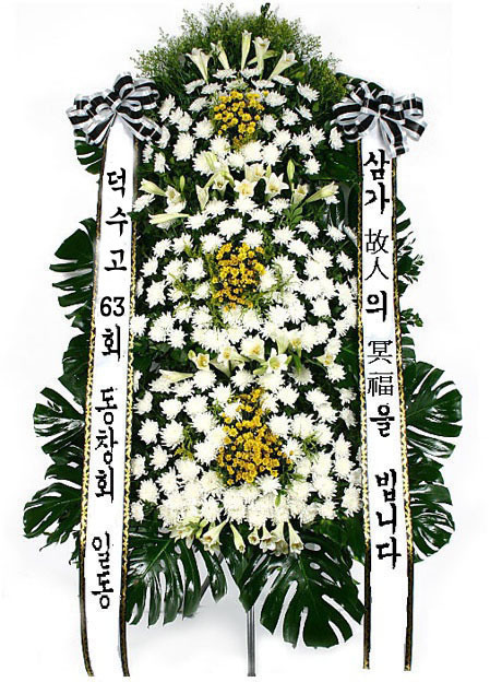 동국대학교의료원(경 이미지