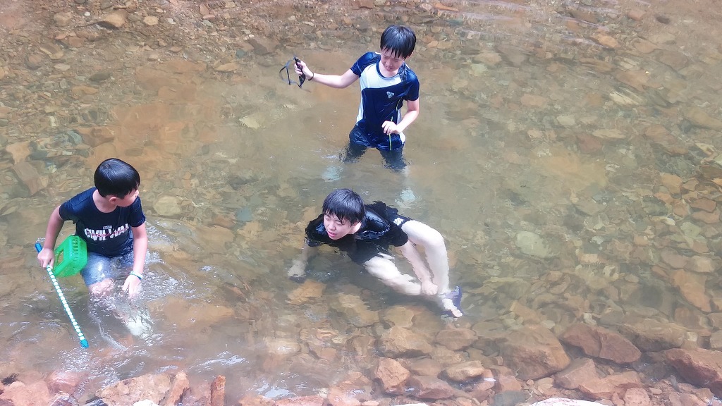 보은삼가대추농원 이미지