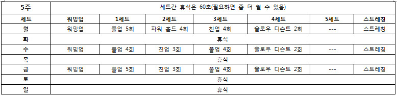 턱걸이 초보도 50개 올리는 프로그램 | 인스티즈