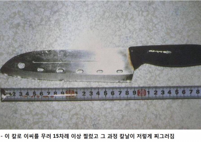 아기엄마와 아기 살인 그후 연애하고싶다는가해자 | 인스티즈