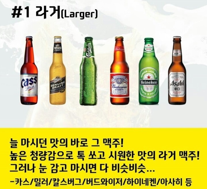 맥주의 종류..여러분의 취향은? | 인스티즈