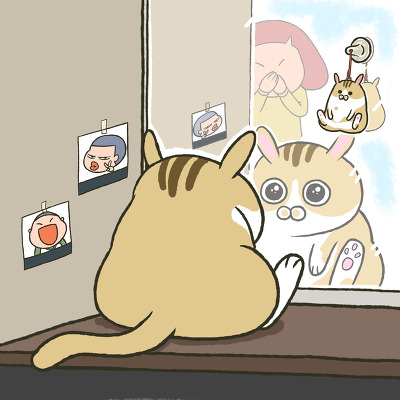 꼬실이 이미지