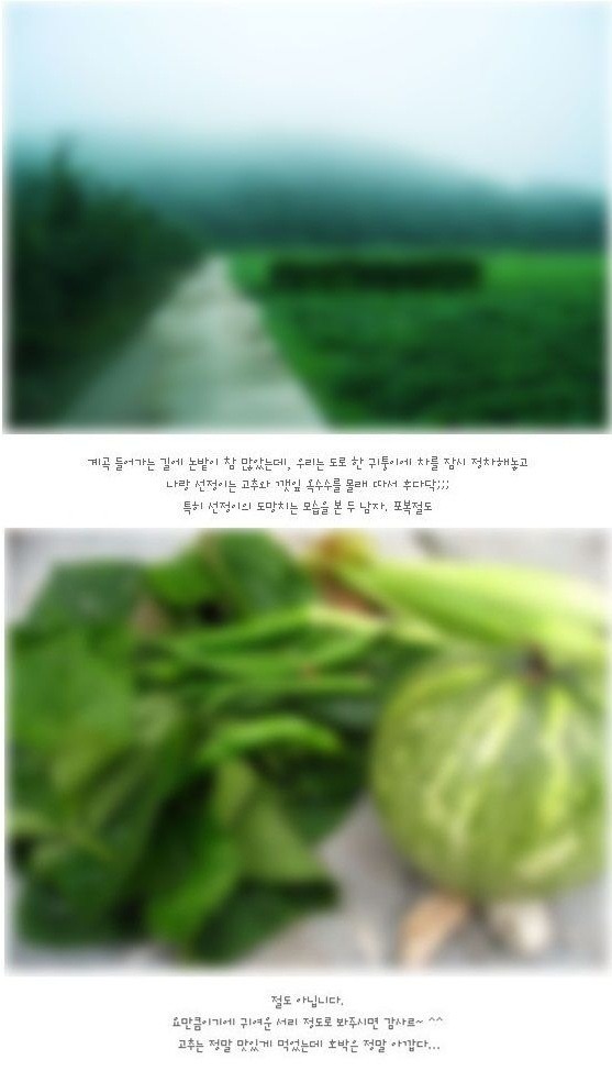 절도 아닙니다... | 인스티즈