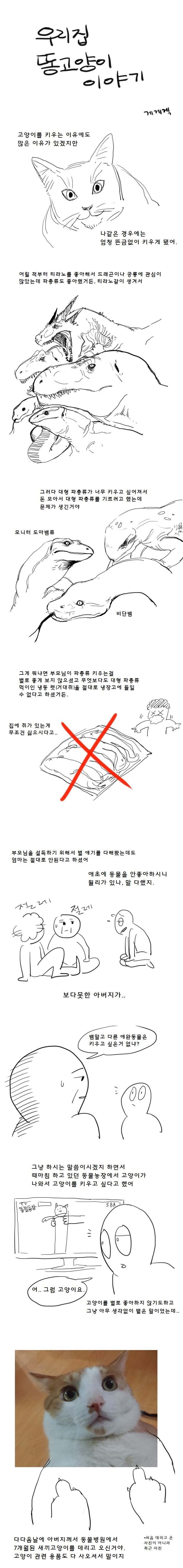 [만화] 우리집 똥 고양이 이야기 | 인스티즈