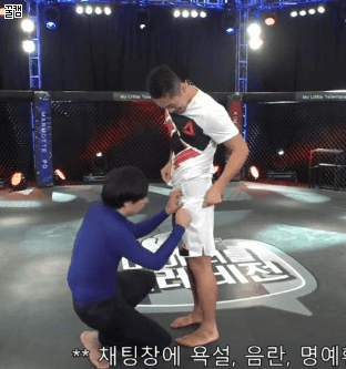덮치는 모르모트pd.gif | 인스티즈