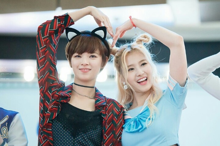 두즈 이미지
