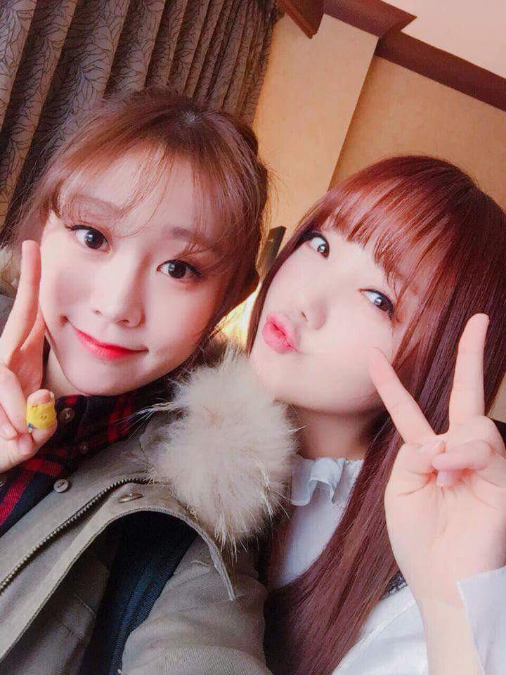 [러블리즈] 고양이가 다시 건깅해져서 유지애 | 인스티즈