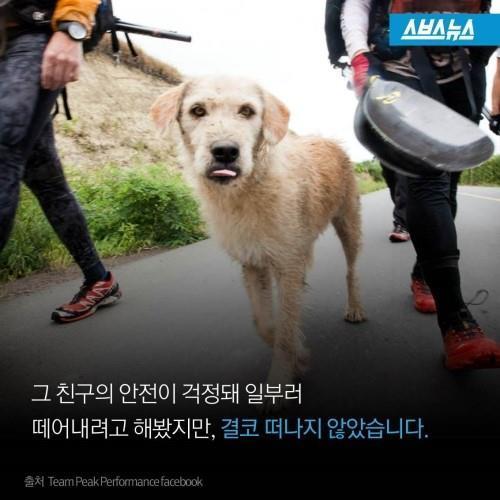 길에서 만난 친구 .jpg | 인스티즈