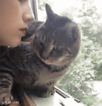 동물들과의 교감.gif | 인스티즈