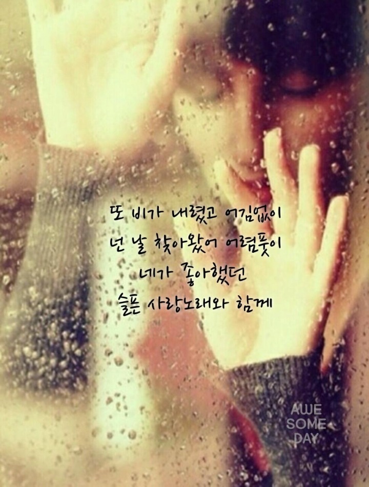 단비네 이미지