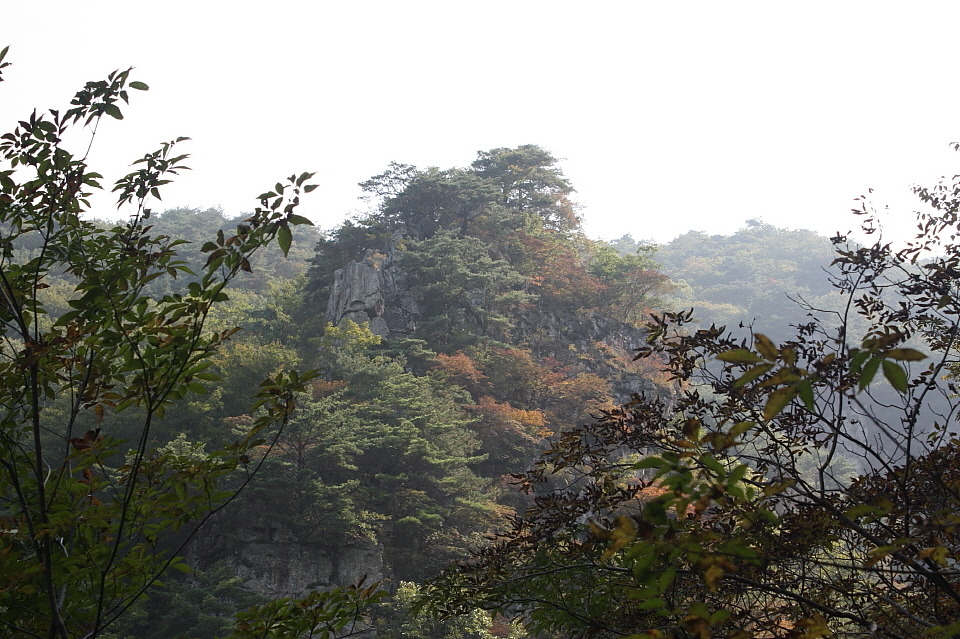 고개상회 이미지