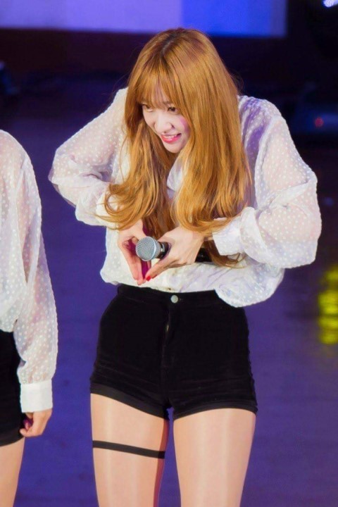희 이미지