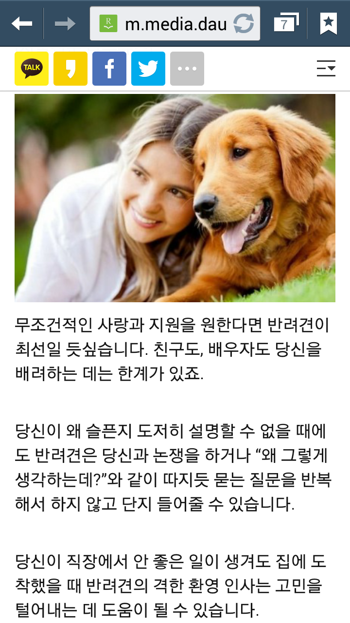 반려견 눈에 당신은 이렇게 보인다..8가지 | 인스티즈