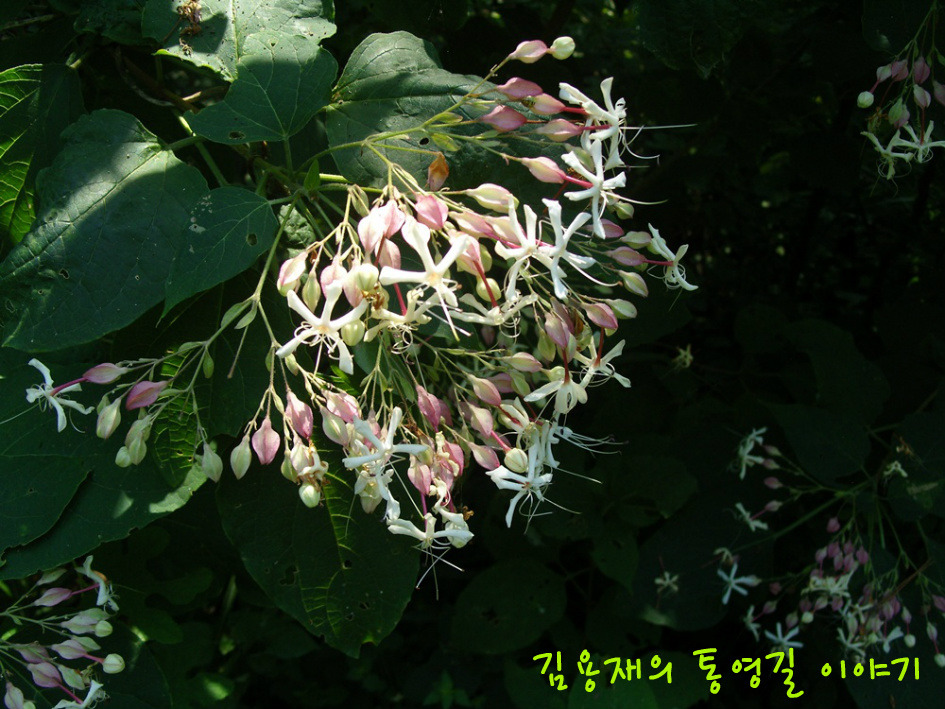 호국의길 이미지