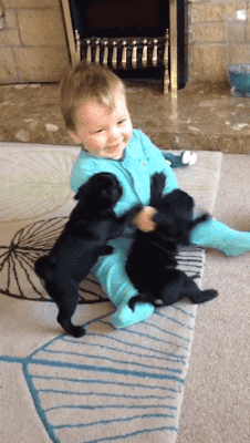 아기와 강아지.gif | 인스티즈