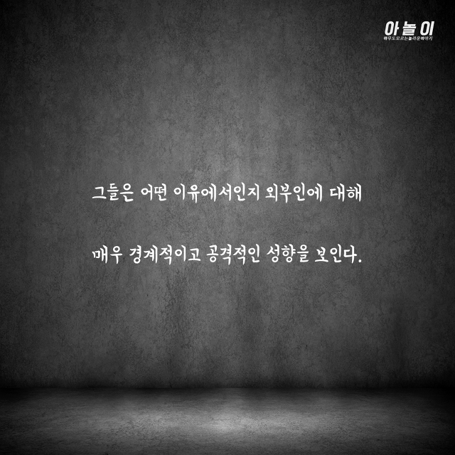 들어가면 바로 살해당하는 섬...ㄷㄷ | 인스티즈