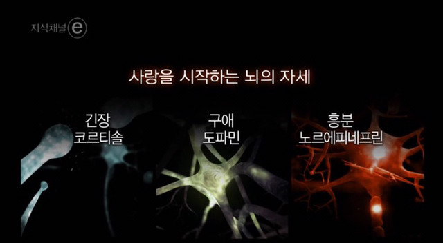 이별에 대처하는 뇌의 자세 | 인스티즈