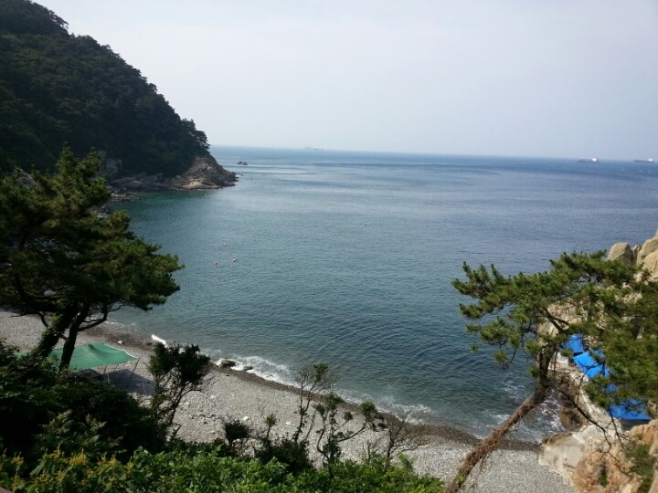 태종대요양병원 이미지