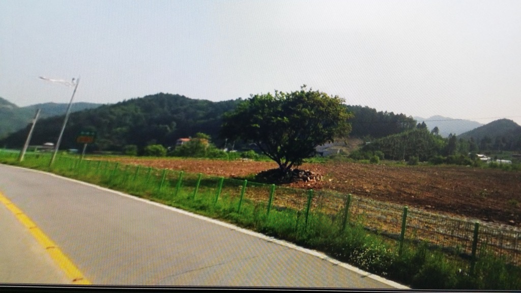 산유리캠핑장 이미지