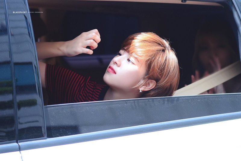 트와이스 정연 | 인스티즈