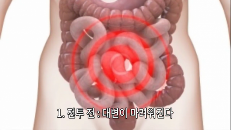 전투에 임할시 신체변화 | 인스티즈