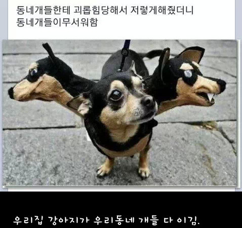 이김 이미지