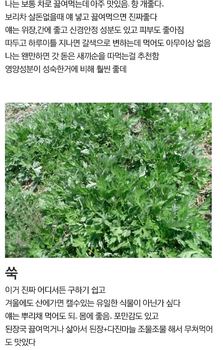 디씨에 새로 생긴 갤러리 | 인스티즈