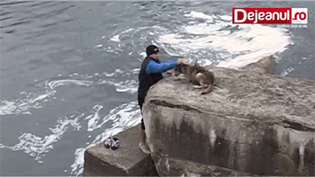 멍뭉이를 구해주었다.gif | 인스티즈