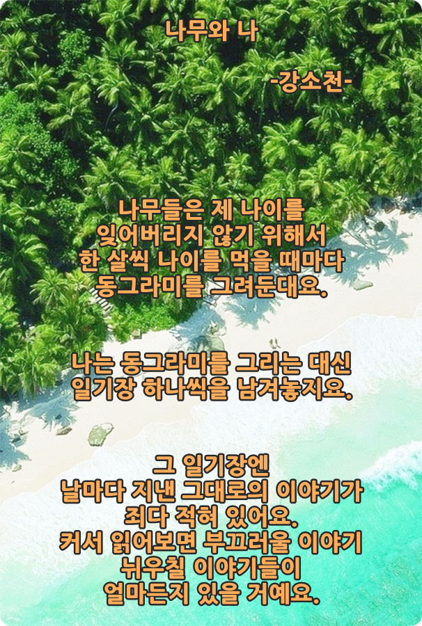 나무와나 이미지