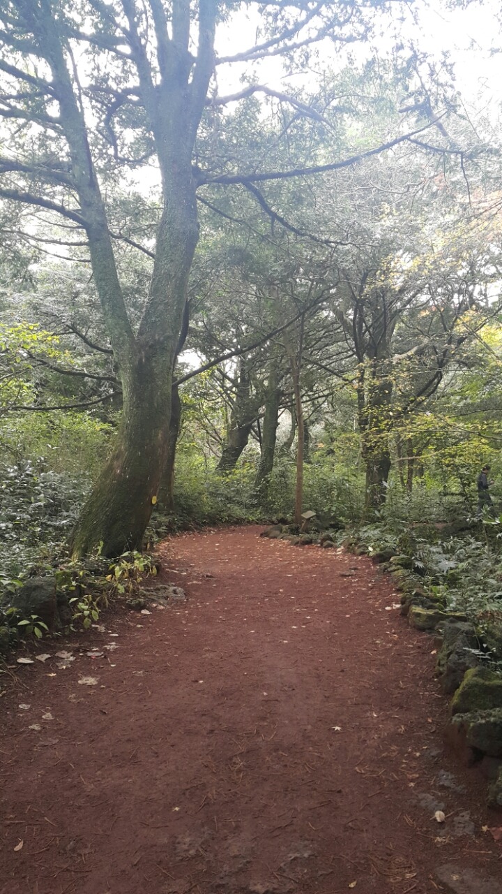 바둑판과 바둑돌에 대한 고찰.jpg | 인스티즈