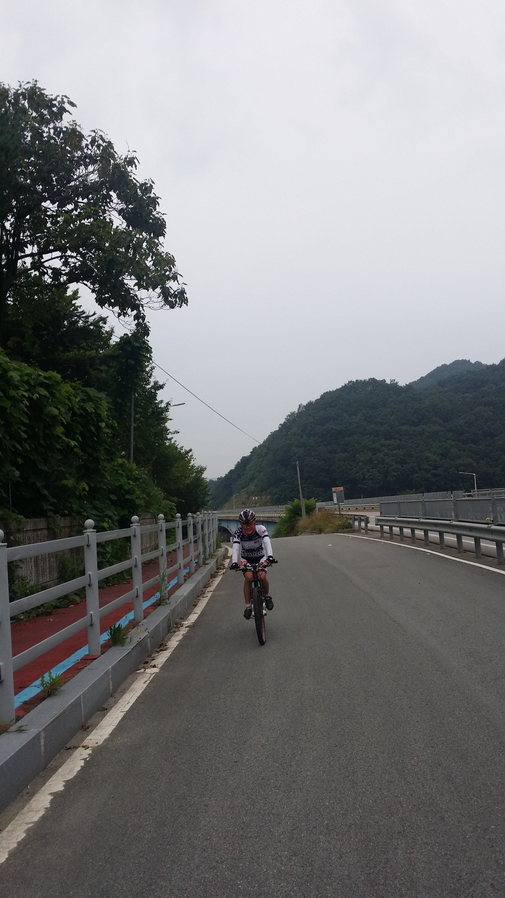 새라 이미지
