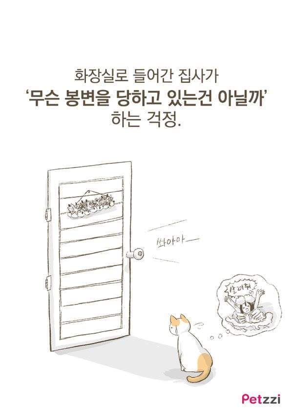 고양이가 화장실 앞에서 기다리고있는 이유(만화).jpg | 인스티즈