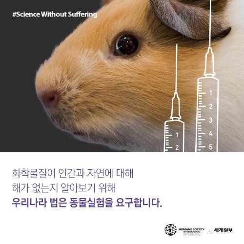 저를 죽이기 전에 눈을 한번 봐주세요(혐오주의) | 인스티즈