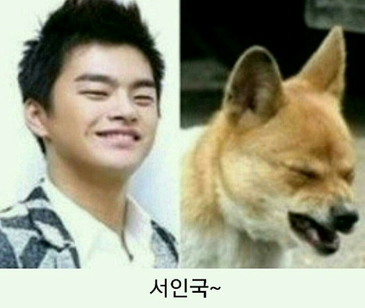 닮은사람들 이미지