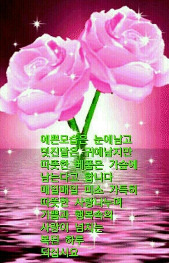 비온뒤 이미지