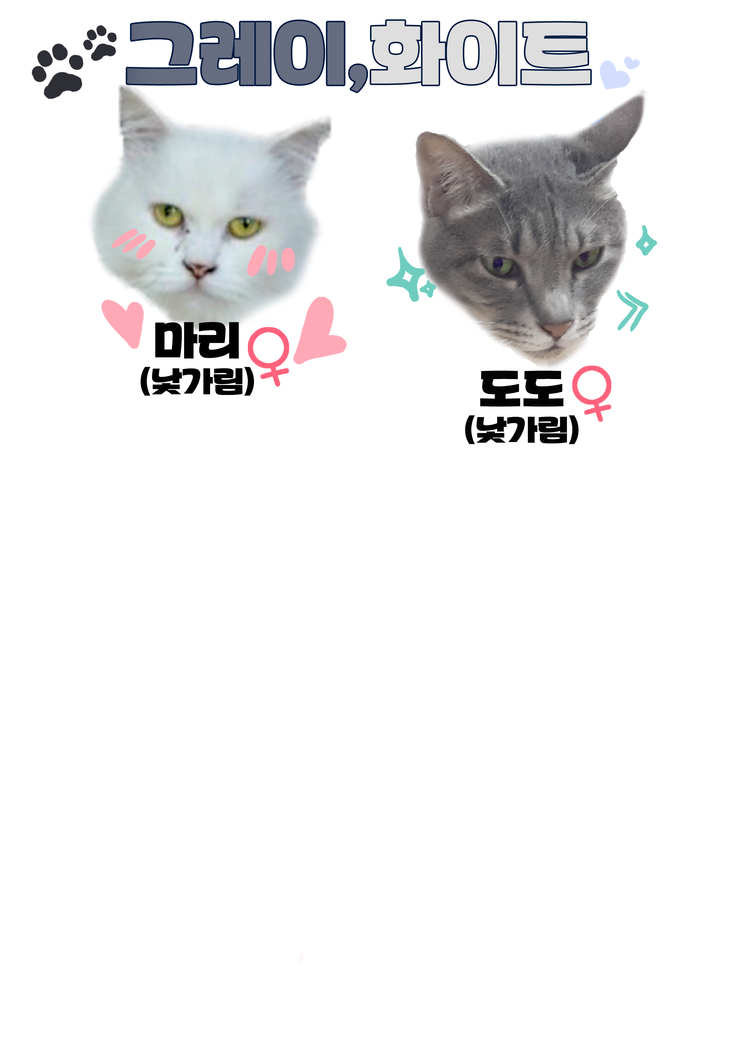 마산 애니멀 호더에게서 구조한 50여마리의 고양이들에게 손길을 내밀어주세요! 곧 쉼터가 폐쇄되어 아이들이 갈 곳이 없습니다 | 인스티즈