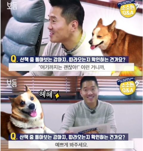 산책 중 돌아보는 강아지,따라오는지 확인하는 건가요? | 인스티즈