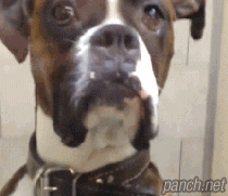 카메라의식 甲 | 인스티즈