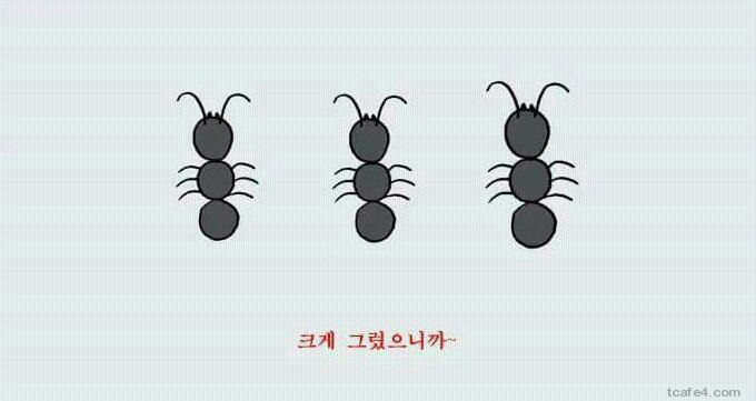 착시 레전드 | 인스티즈
