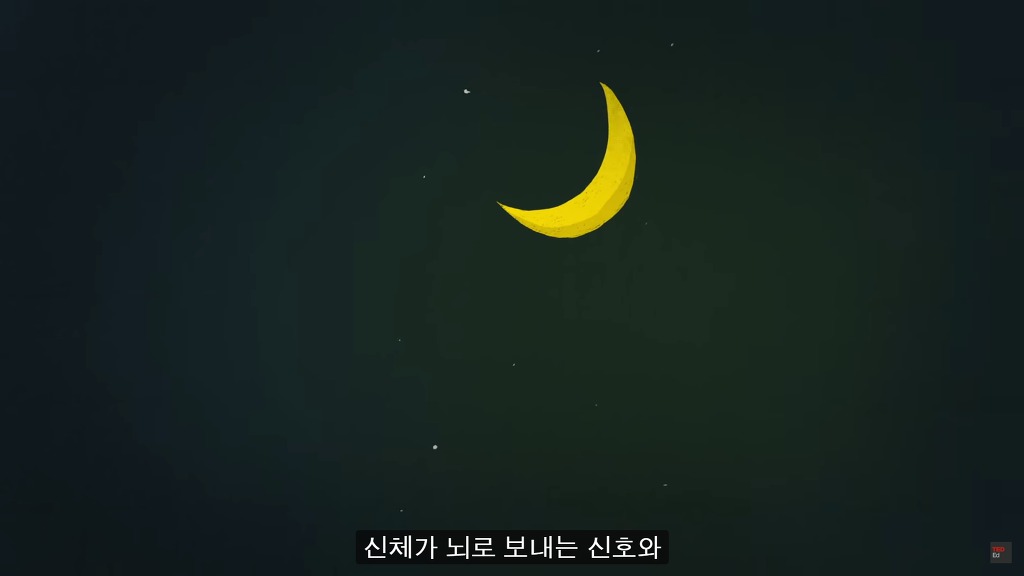 잠을 자지않는다면 우리몸에 어떠한 변화가 일어날까?.JPG | 인스티즈