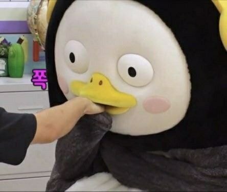 경 펭수 구독자 60만명 축 | 인스티즈