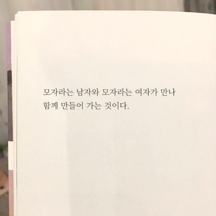 완벽한여자 이미지