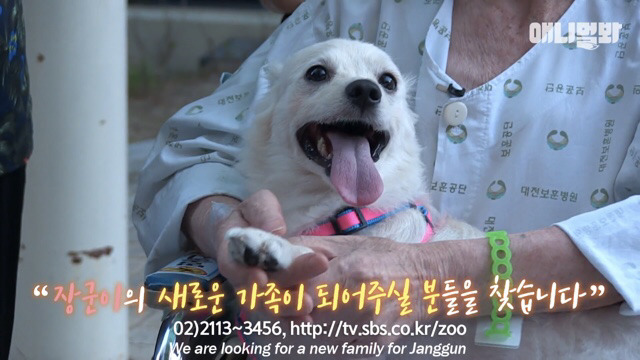 주인님이 열흘 째 문을 열어주지 않아요.. (캡쳐) | 인스티즈
