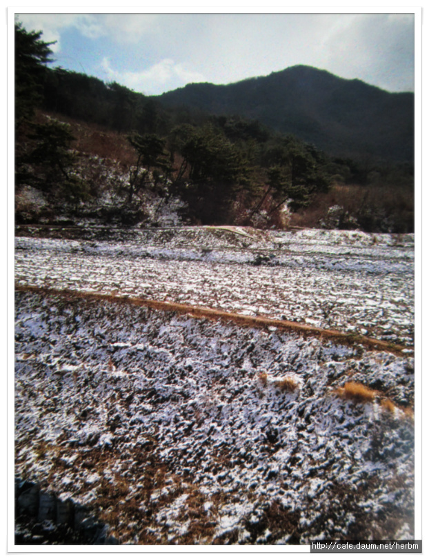 지리산농원 이미지